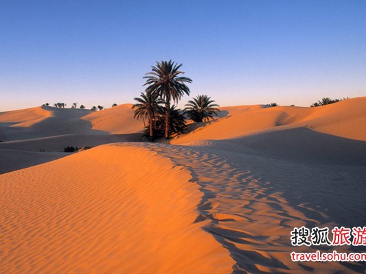 风吹过沙丘的声音，是三毛思念的回响吗？——我的撒哈拉灵魂放逐记