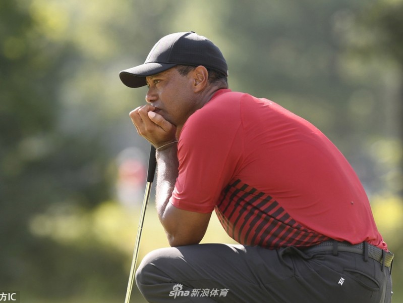 戴尔科技锦标赛上的真假老虎与不朽传奇