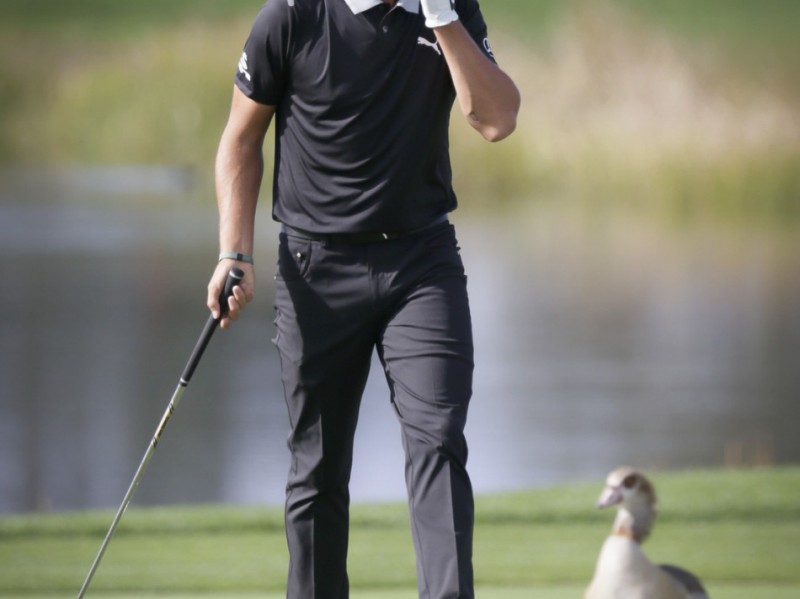 佛州风起本田精英赛激战正酣 领先榜群雄并起意外频生