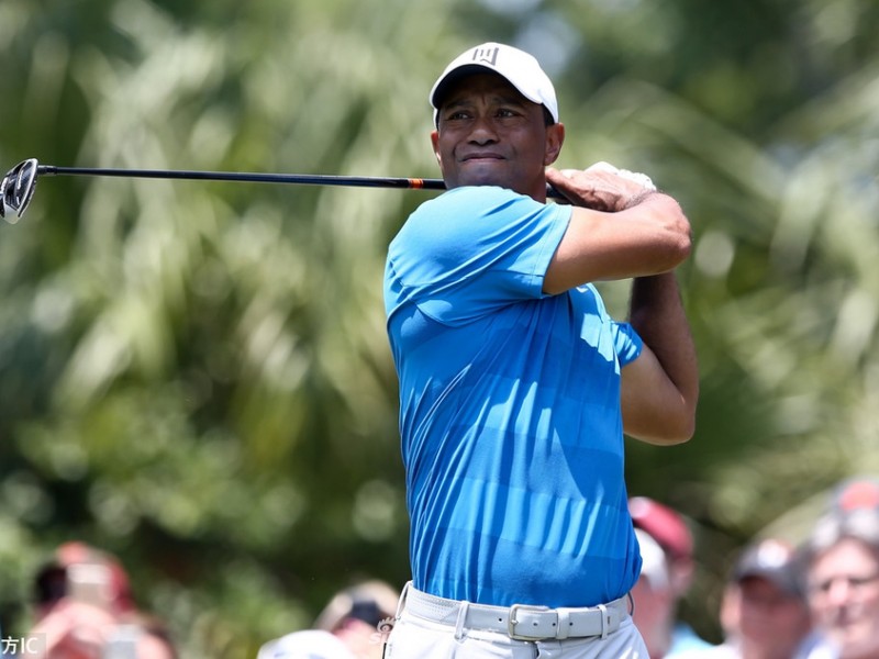 猛虎回眸锯齿草 鏖战首轮显峥嵘