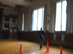 球感修炼手册：八种结合球的训练方式助你成为控球大师