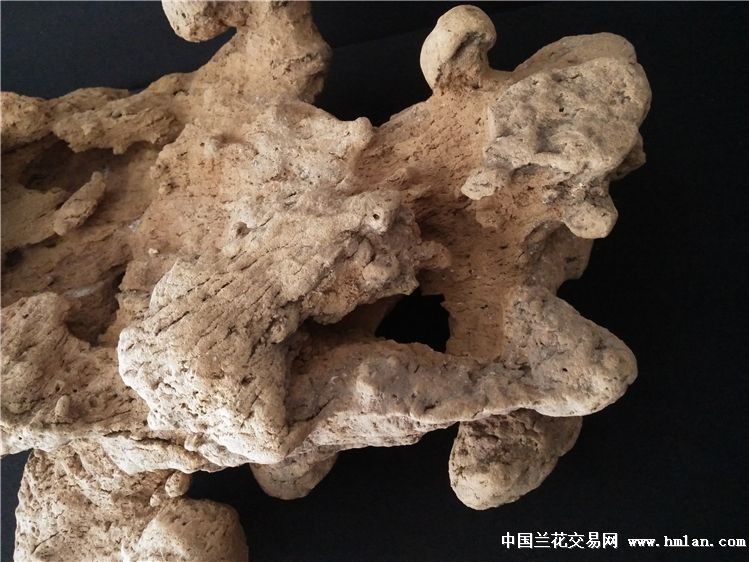 别瞎忙了！2026年整理内容想上搜索头条，就得这么干